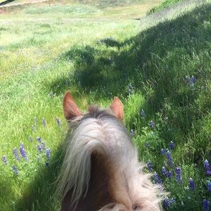 Meet your Posher, Micah